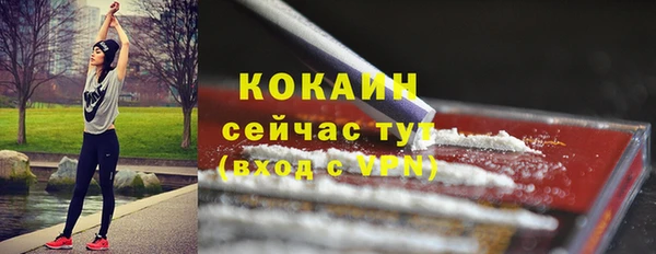 мяу мяу кристалл Богданович